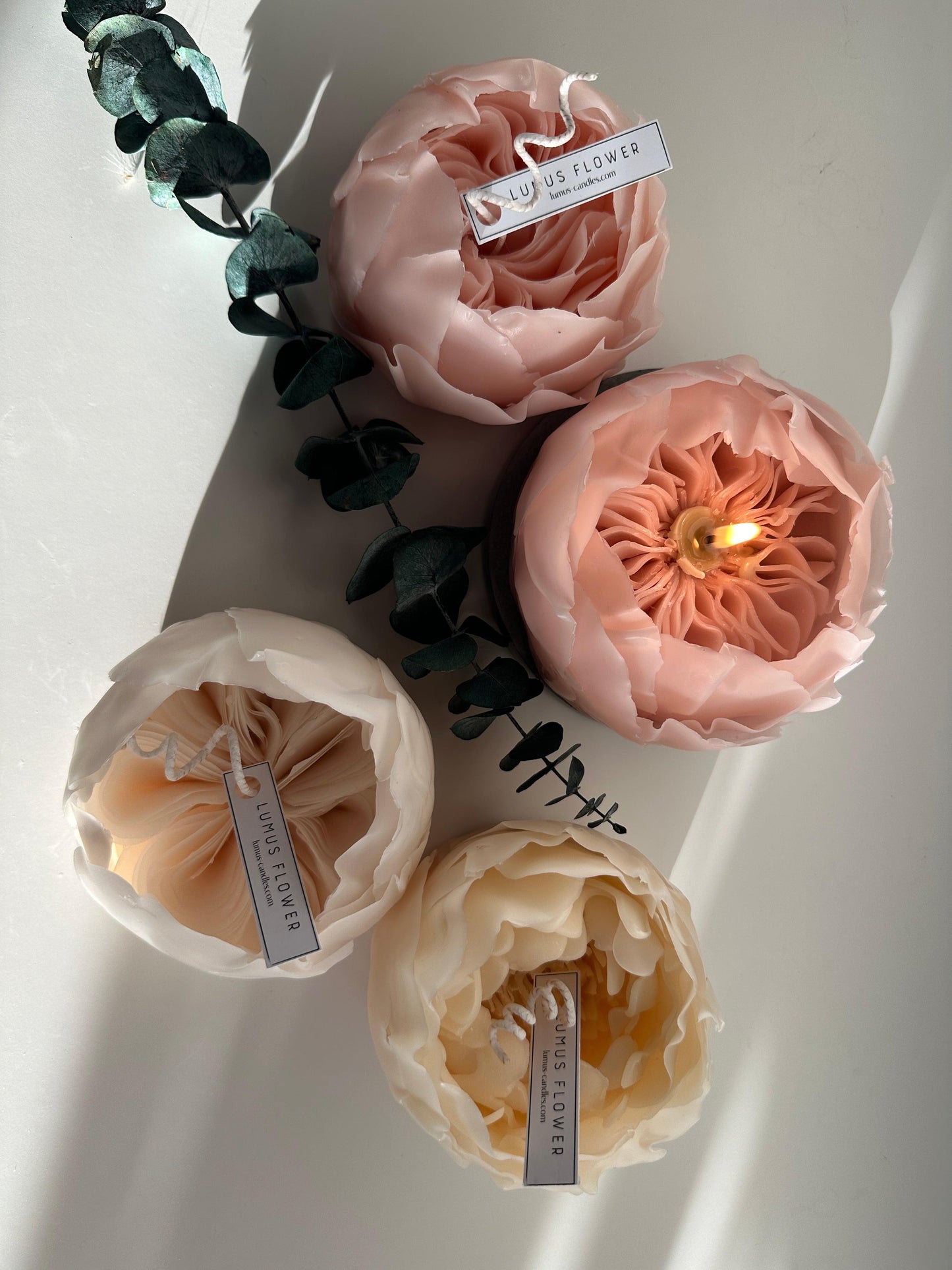 Rose Juliet - Lumus Candles